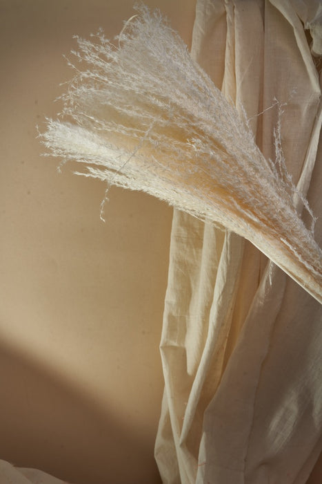 BOHO PAMPAS GRASS