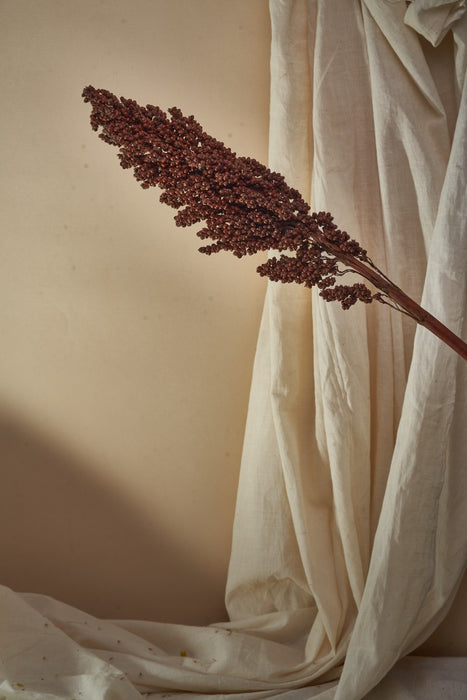 SORGHUM STICKS