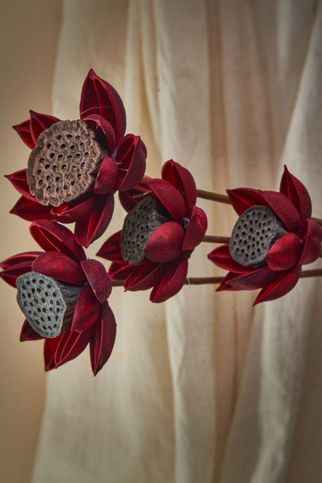 LOTUS FLOWER (Set of 4)