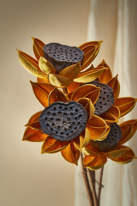 LOTUS FLOWER (Set of 4)