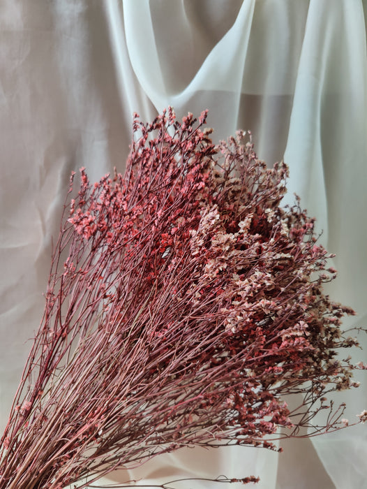 Sambucus Nigra Dried Flower Bunch