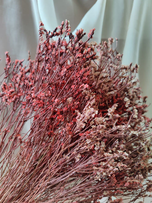 Sambucus Nigra Dried Flower Bunch